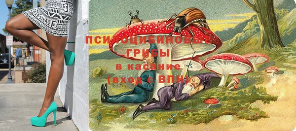 не бодяженный Нефтекумск