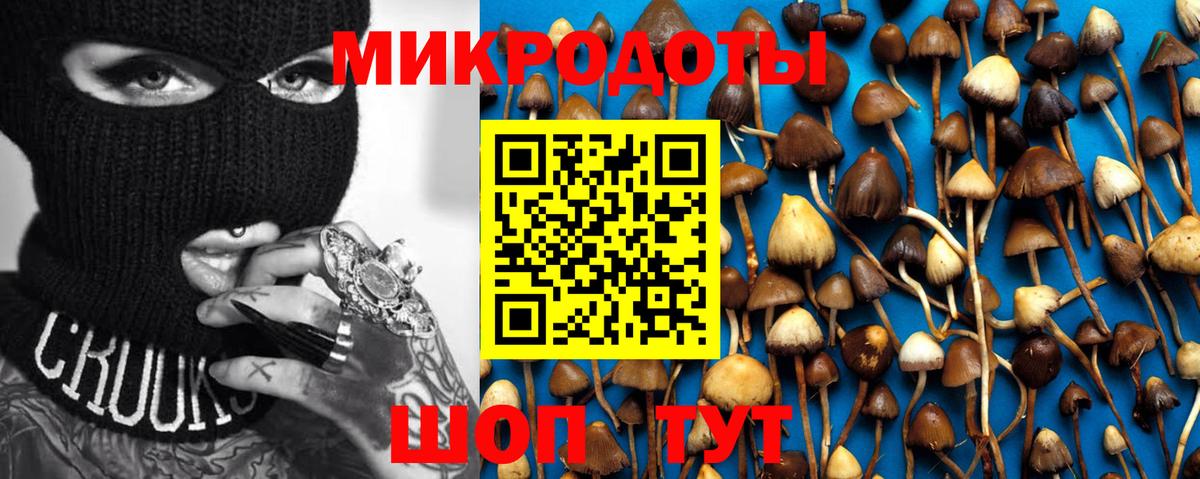 Псилоцибиновые грибы GOLDEN TEACHER Петровск