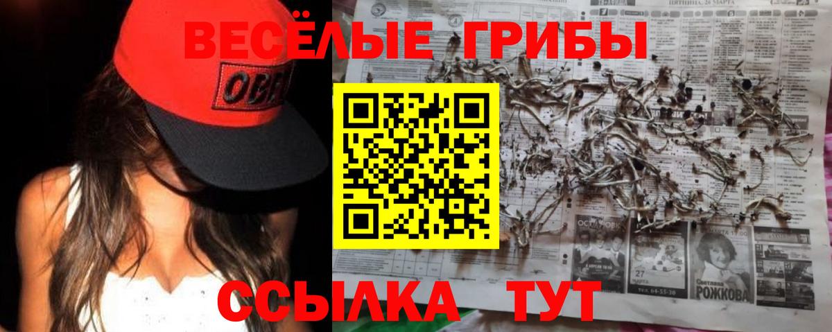 Псилоцибиновые грибы Cubensis Петровск